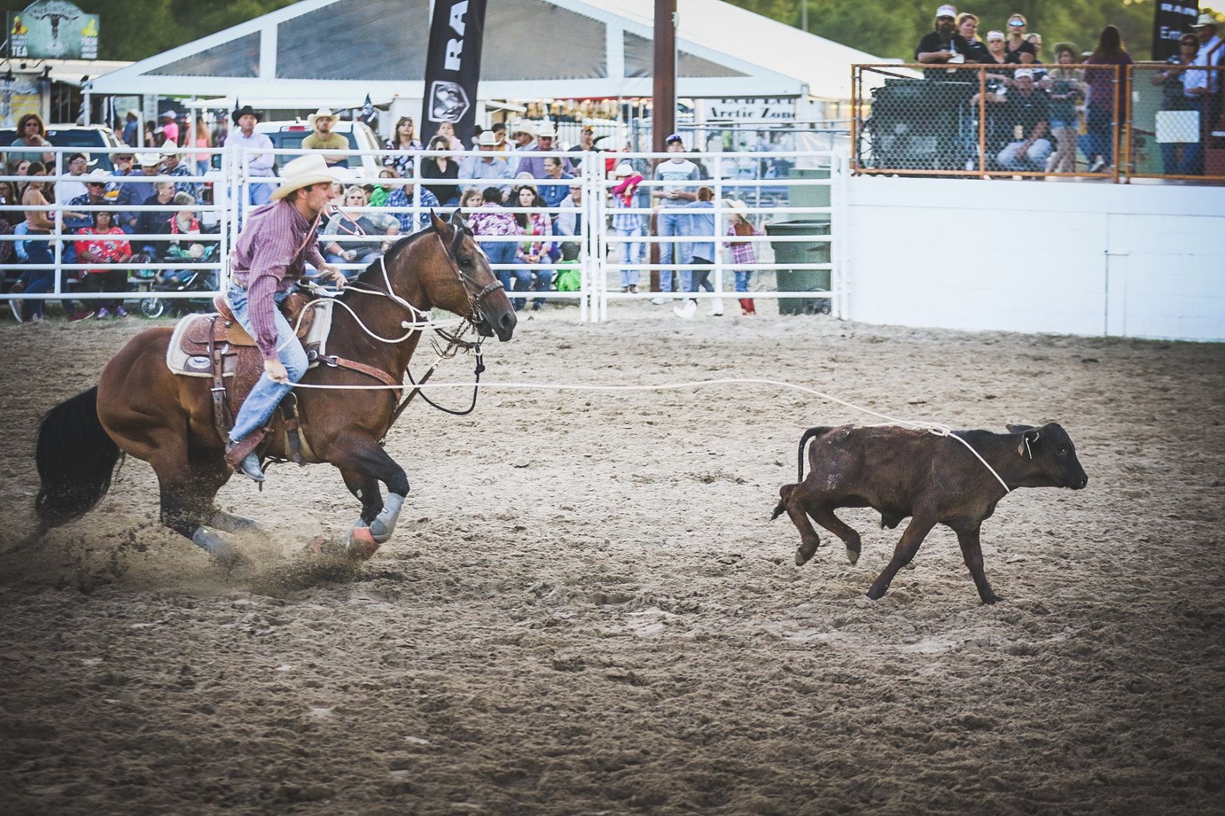 Buffalo Bill Rodeo Night 1 (16).jpg